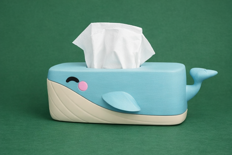 Whale Tissue Box